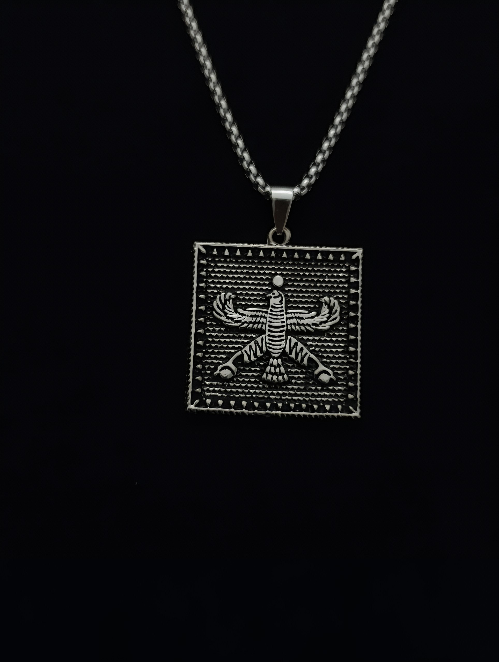 IMG-20251123-WA0026 گردنبند فروهر - تصویر 1